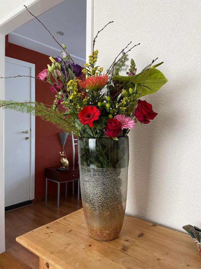 Appartement De Gouw Noordgouwe Kültér fotó