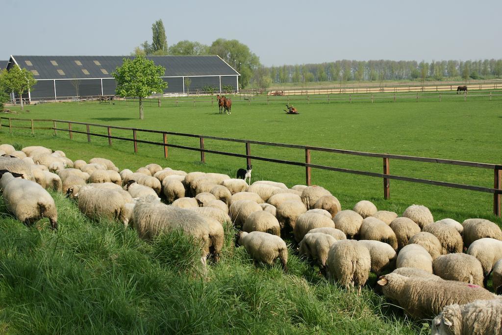 Appartement De Gouw Noordgouwe Kültér fotó